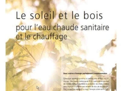 Le soleil et le bois